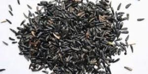 Niger Seeds