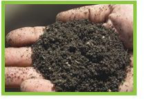 Compost, Fertilizers