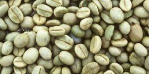 Robusta Coffee Beans