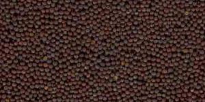 Mustard Seeds Black