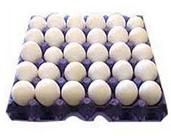 Poultry Eggs