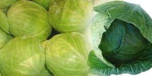 Cabbage