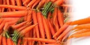 Carrot