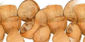 Coconut Shell