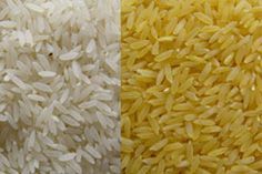 1121 White Sella Rice