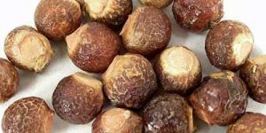 Soap Nuts