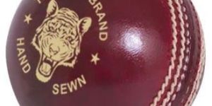 Leather Cricket Ball (jupiter)