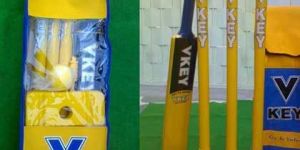 Plastic Cricket Set