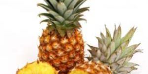 Fresh Pineapple