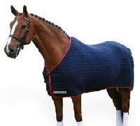 Horse Riding Equipment