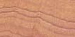 Indian Rainbow Sandstone