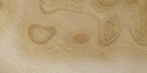 Indian Sand Dune Quartzite