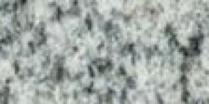 Indian Snow Leopard Granite