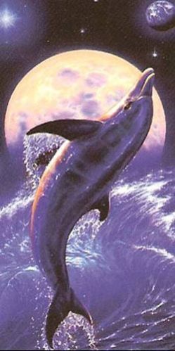 Velour Printed Beach Towels - 02