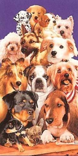 Velour Printed Beach Towels - 03