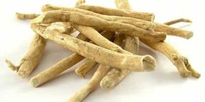 Ashwagandha Root
