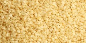 Sesame Seeds
