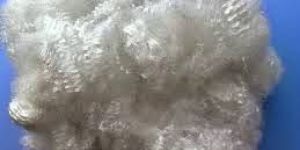 Polyester Fiber