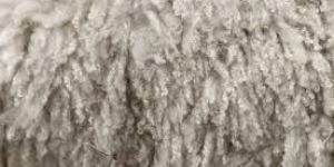 Wool Textile