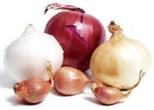 Onion