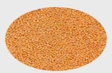 Red Split Lentils
