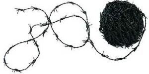 Leather Barb Wire