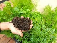 Natural Organic Fertilizer