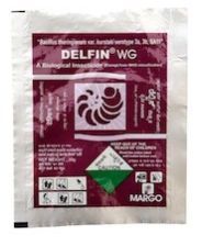 Delfin WG