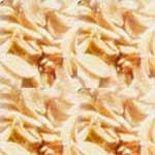 Dehydrated Garlic Products