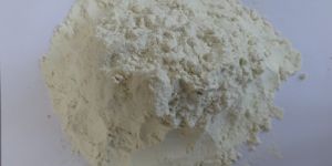 Food Grade Guar Gum Powder