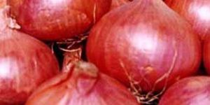 Red Onions