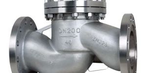 Forged Steel Check Valve