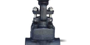 Forged Steel Globe Valve
