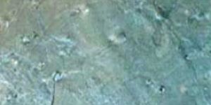 Ocean Green Slate Tiles