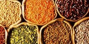 Indian Pulses