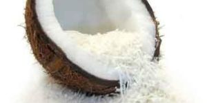 Desiccated Coconut Powder
