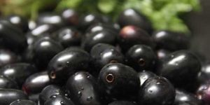 JAMUN