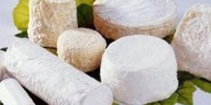 Goat Cheese