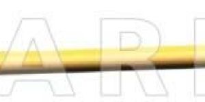 ANKLE ARTHRODESIS NAIL