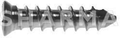 CERVICAL SCREW
