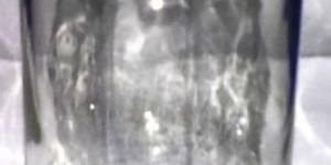 Tissue Culture Bottle