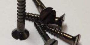 Stainless Steel Antique Polish Wood Screws