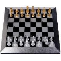 Magnetic Chess