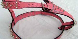 Dog Harness