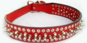 Dog Collars