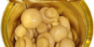 Canned Mushroom Whole Button