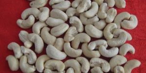 Cashew Nut Kernel W-240