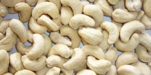 Cashew Nuts Kernel W-210