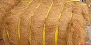 Coconut Fibre