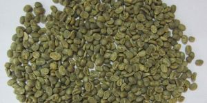 Robusta Aa Coffee Beans